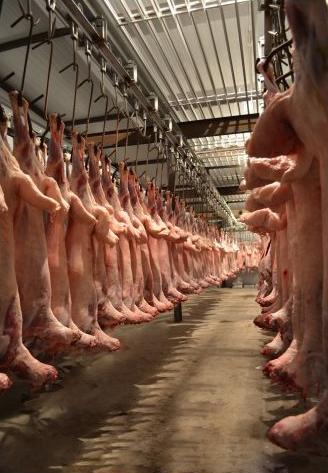 排酸库|肉类排酸库|猪肉排酸库|牛肉排酸库|羊肉排酸库
